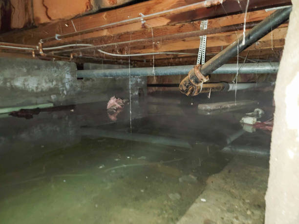 Best Residential water damage restoration  in Blacklick Estates, OH