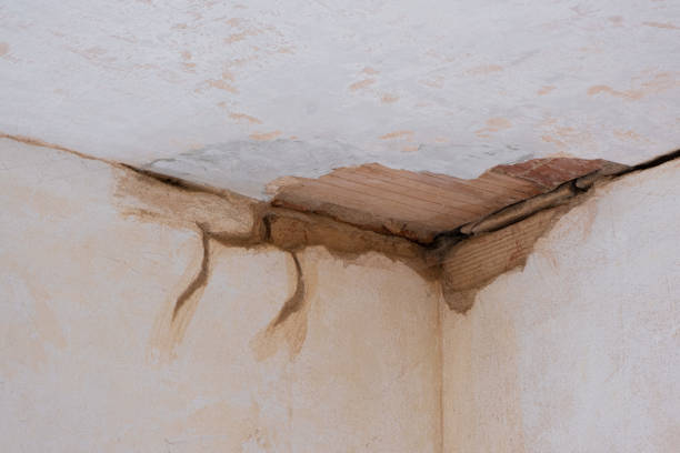  Blacklick Estates, OH Water damage restoration Pros