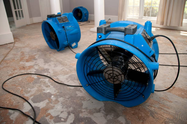 Best Fire Damage Restoration  in Blacklick Estates, OH