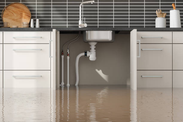 Best Water damage contractors near me  in Blacklick Estates, OH