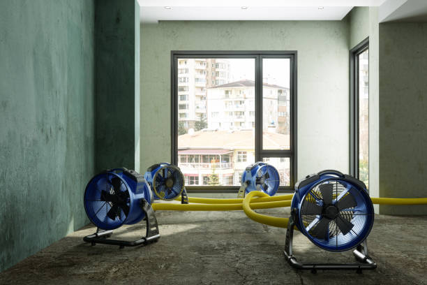 Best 24-hour water damage restoration  in Blacklick Estates, OH